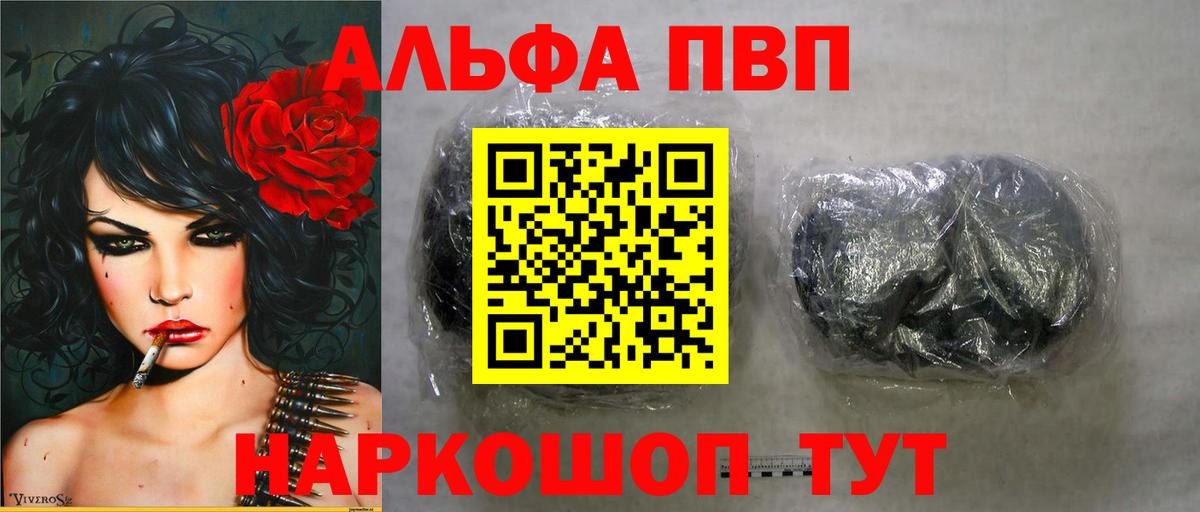 Alfa_PVP СК КРИС Бердск