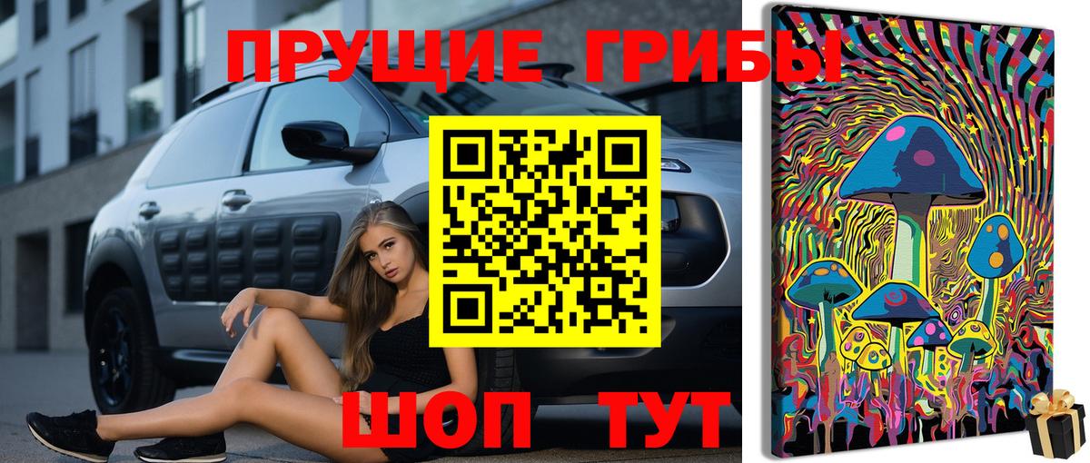 Псилоцибиновые грибы ЛСД  Псилоцибиновые грибы прущие грибы  Бердск  Вход с VPN 