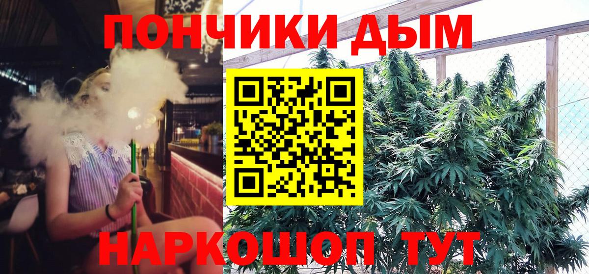 Бошки Шишки SATIVA & INDICA Бердск